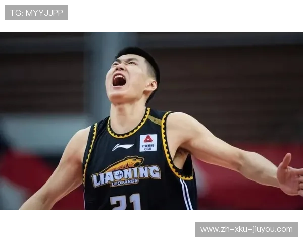 辽宁男篮球员力量分析及其在战术体系中的关键价值探讨